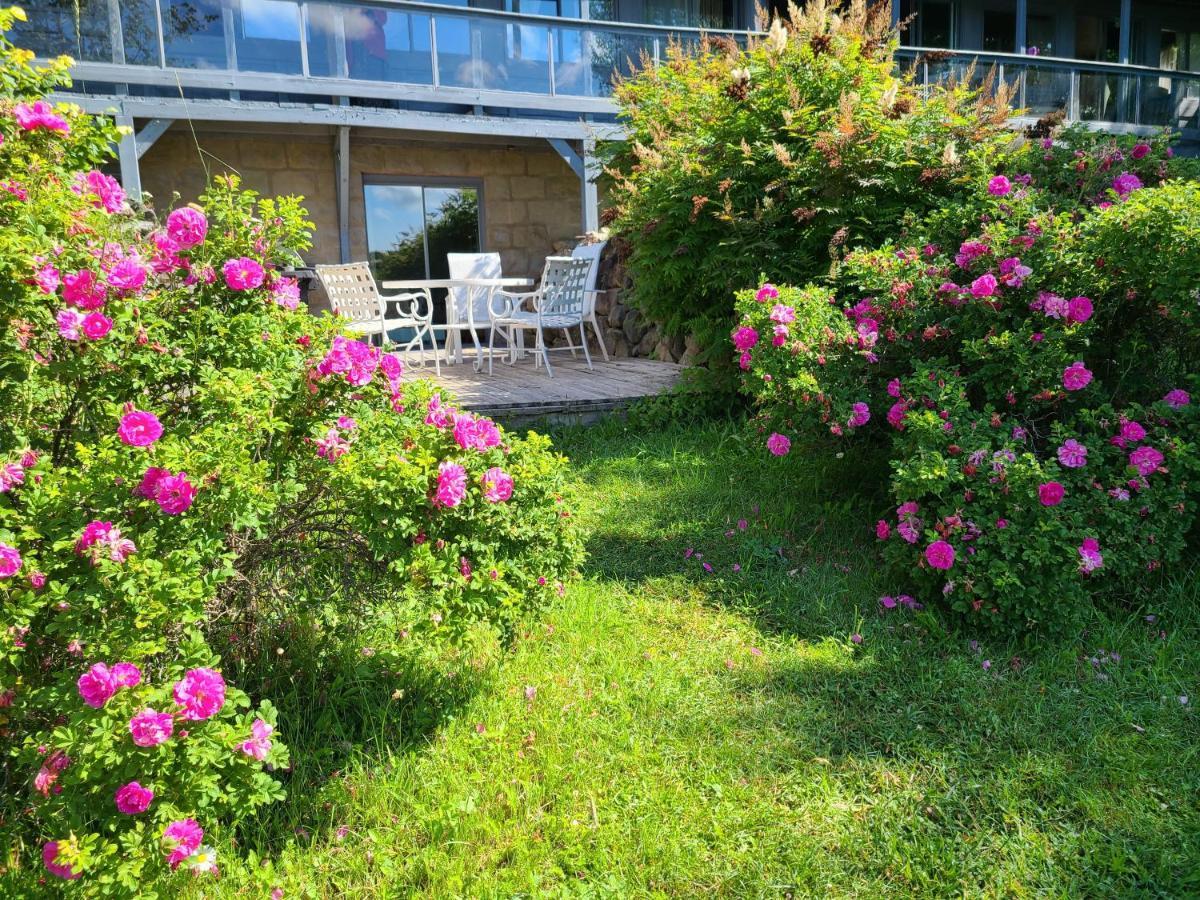 Le Lodge Du Lac Saint-Faustin Bagian luar foto